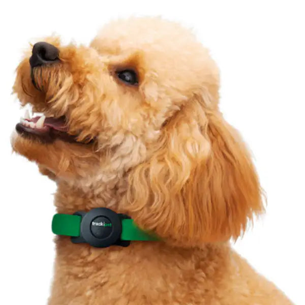 Trackipet Localizzatore satellitare GPS per animali domestici   bauzaarit.myshopify.com