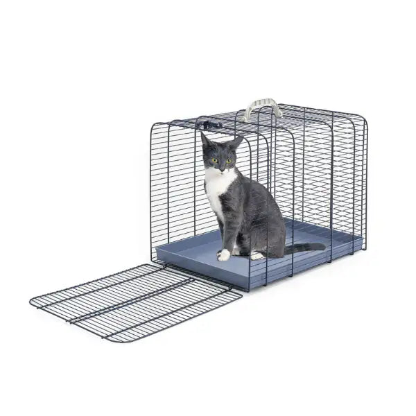 Trasportino per Gatti Imac   bauzaarit.myshopify.com