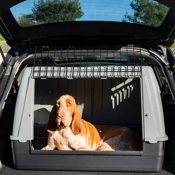 Trasportino per auto Bracco PetUp   bauzaarit.myshopify.com