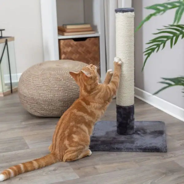 Tronchetto Tiragraffi Batres in peluche e sisal Trixie   Bauzaar.it
