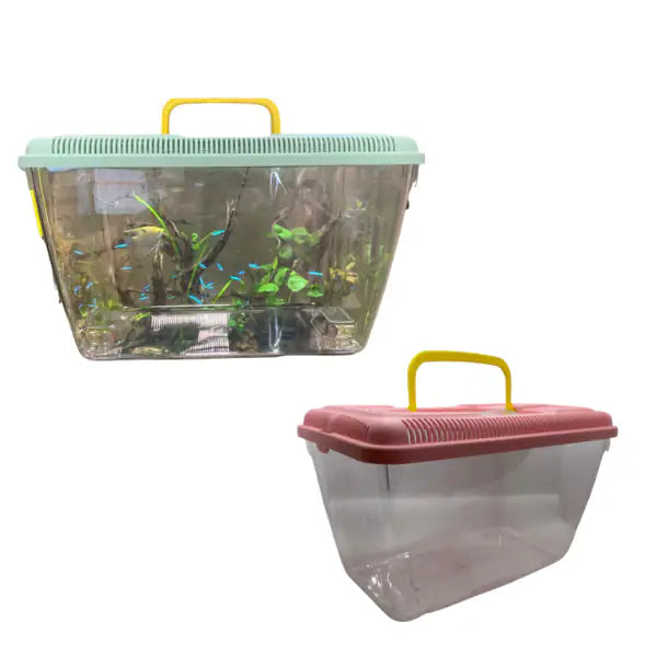 Vaschetta per pesci Ponza PetUp   bauzaarit.myshopify.com