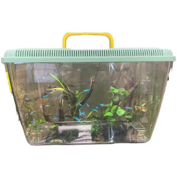 Vaschetta per pesci Ponza PetUp  capacità 9 litri bauzaarit.myshopify.com
