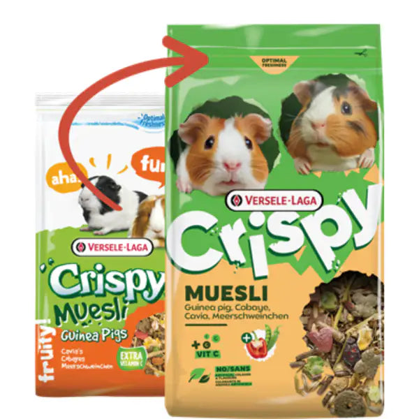 Versele Laga Crispy Muesli Guinea Pigs per porcellini d'india   Bauzaar.it