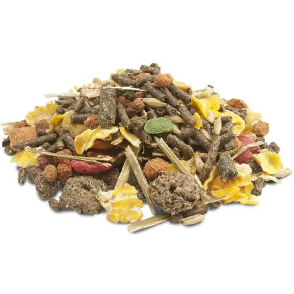 Versele Laga Crispy Muesli Guinea Pigs per porcellini d'india   bauzaarit.myshopify.com