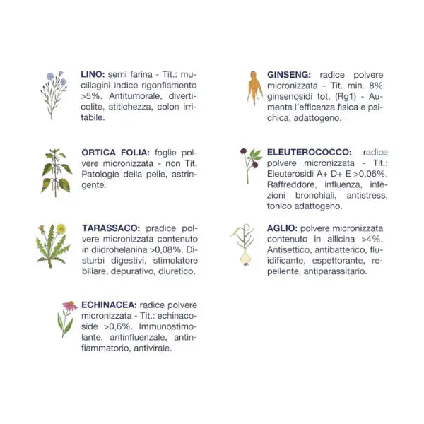 Vet Line Secco Monoproteico Cane Adult Maiale   bauzaarit.myshopify.com