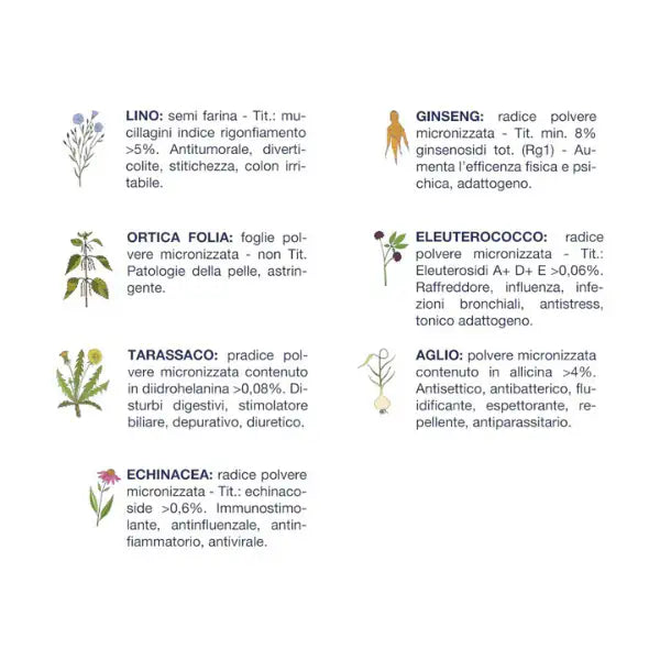 Vet Line Secco Monoproteico Cane Adult Pesce   bauzaarit.myshopify.com