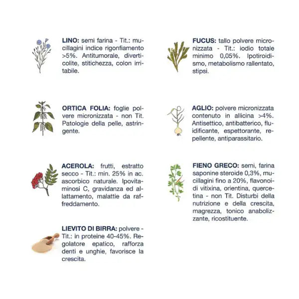 Vet Line Secco Monoproteico Cane Junior Accrescimento Bufalo   bauzaarit.myshopify.com