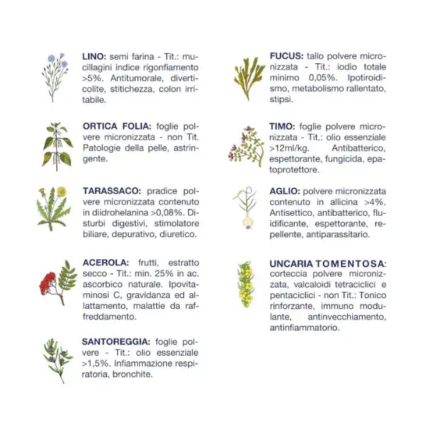 Vet Line Secco Monoproteico Cane Salute Taglia Piccola Pesce   bauzaarit.myshopify.com