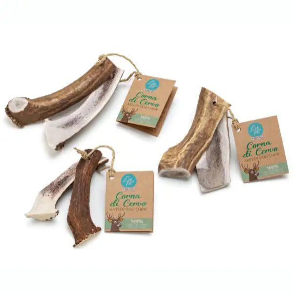 Viking Leopet Corna di Cervo aperte   bauzaarit.myshopify.com