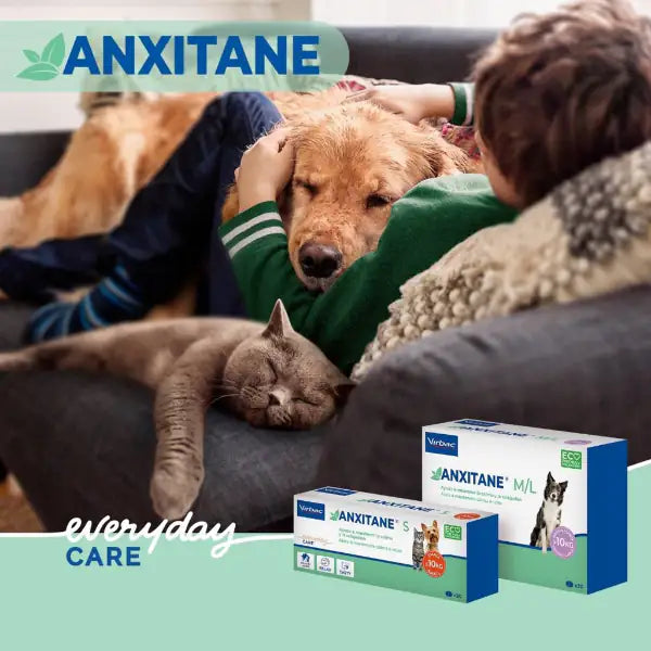 Virbac Anxitane compresse appetibili per la riduzione dello stress   bauzaarit.myshopify.com
