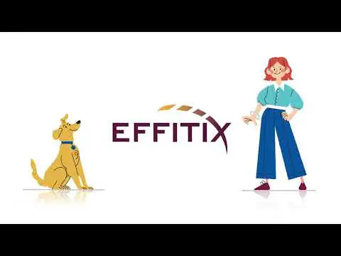 Virbac Effitix Spot-On Cani   bauzaarit.myshopify.com