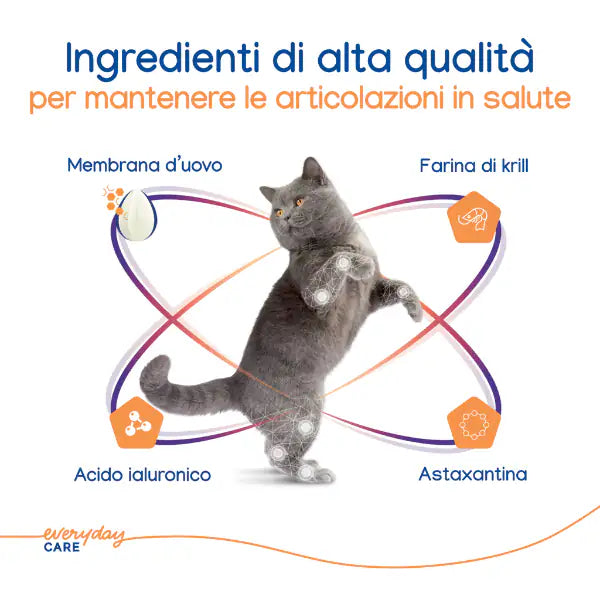 Virbac Movoflex per la salute articolare del gatto   bauzaarit.myshopify.com