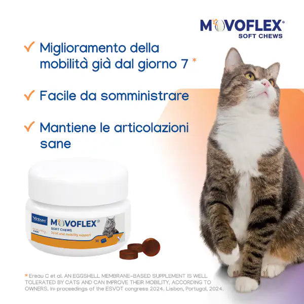 Virbac Movoflex per la salute articolare del gatto   bauzaarit.myshopify.com