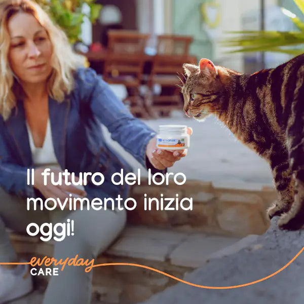 Virbac Movoflex per la salute articolare del gatto   bauzaarit.myshopify.com