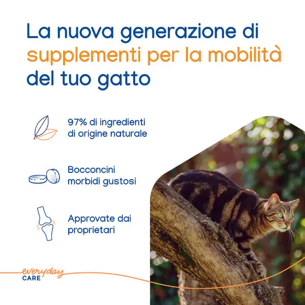 Virbac Movoflex per la salute articolare del gatto   bauzaarit.myshopify.com