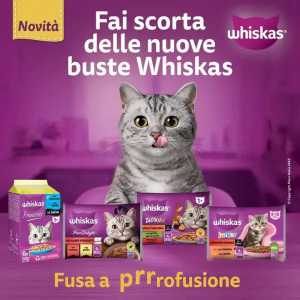 Whiskas Kitten Pranzetti in salsa Multipack 6x50 gr   Bauzaar.it