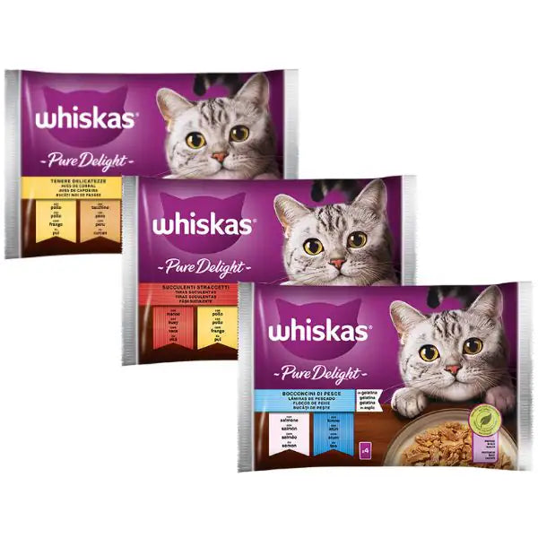 Whiskas Pure Delight ricette in gelatina Multipack 4 pezzi da 85 gr   bauzaarit.myshopify.com