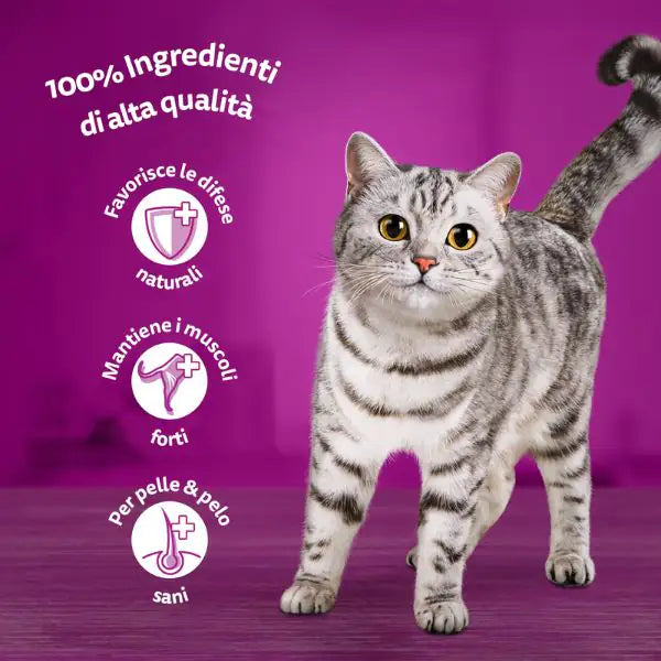 Whiskas Pure Delight ricette in gelatina Multipack 4 pezzi da 85 gr   bauzaarit.myshopify.com