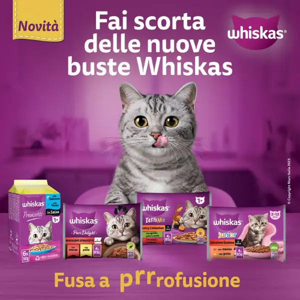 Whiskas Pure Delight ricette in gelatina Multipack 4 pezzi da 85 gr   bauzaarit.myshopify.com