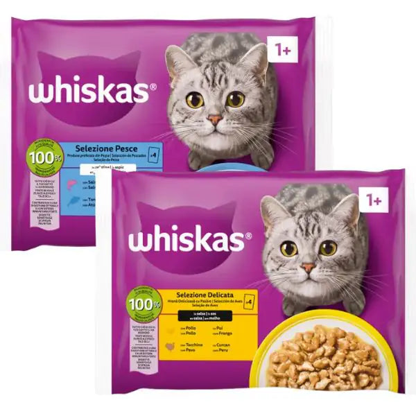 Whiskas ricette in salsa Multipack 4 pezzi da 85 gr   bauzaarit.myshopify.com