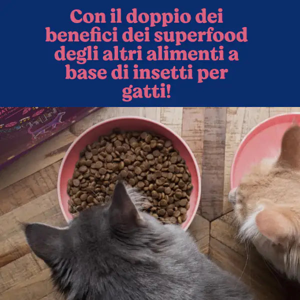 Yora Superfood crocchette a base di insetti Cat Adult   bauzaarit.myshopify.com