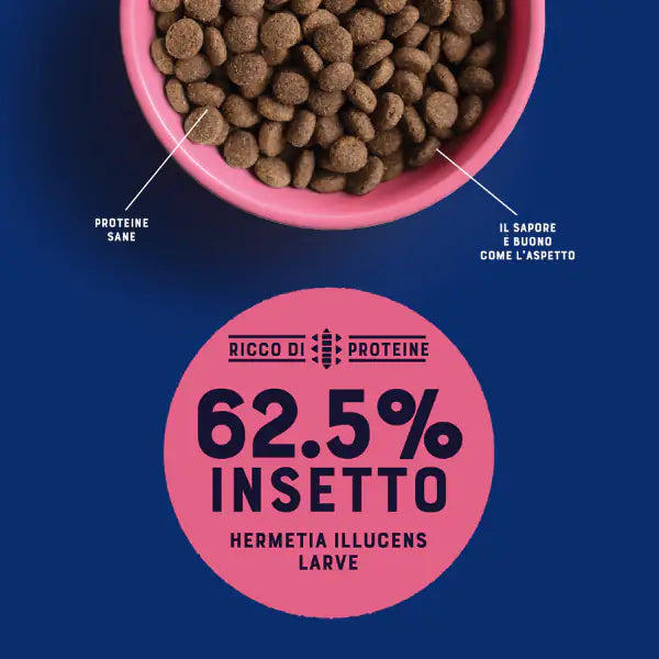 Yora Superfood crocchette a base di insetti Cat Adult   bauzaarit.myshopify.com
