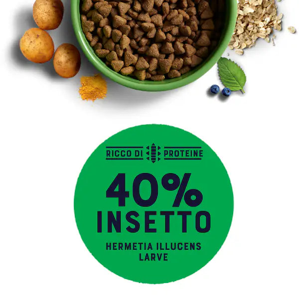 Yora Superfood crocchette a base di insetti Dog Adult All Breeds Hypoallergenic   bauzaarit.myshopify.com