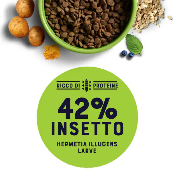 Yora Superfood crocchette a base di insetti Dog Adult Small Breeds Hypoallergenic   bauzaarit.myshopify.com