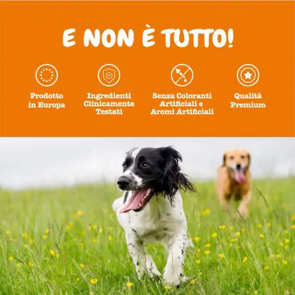 Zesty Paws Advance 9 in 1 Chews Multifunzionale Senior integratore per cani Alimento complementare   bauzaarit.myshopify.com