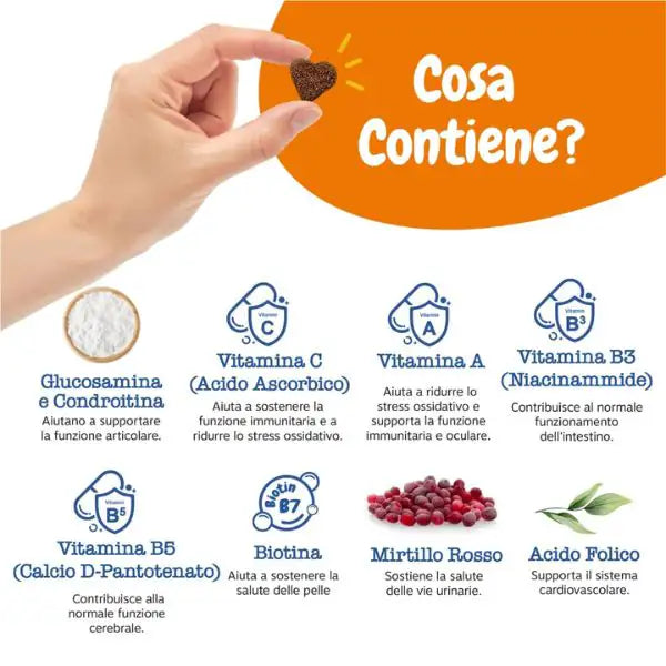 Zesty Paws Advance 9 in 1 Chews Multifunzionale Senior integratore per cani Alimento complementare   bauzaarit.myshopify.com