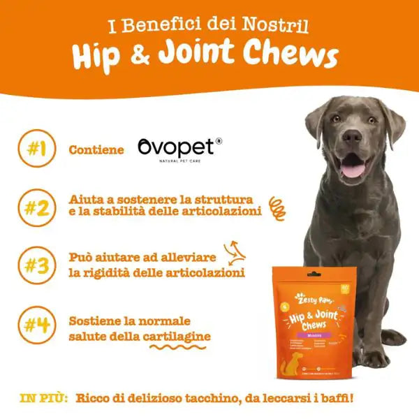 Zesty Paws Hip&Joint Chews Mobilità integratore per cani Alimento complementare   bauzaarit.myshopify.com