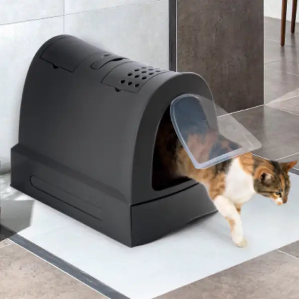 Zuma Toilette per gatti Imac   bauzaarit.myshopify.com