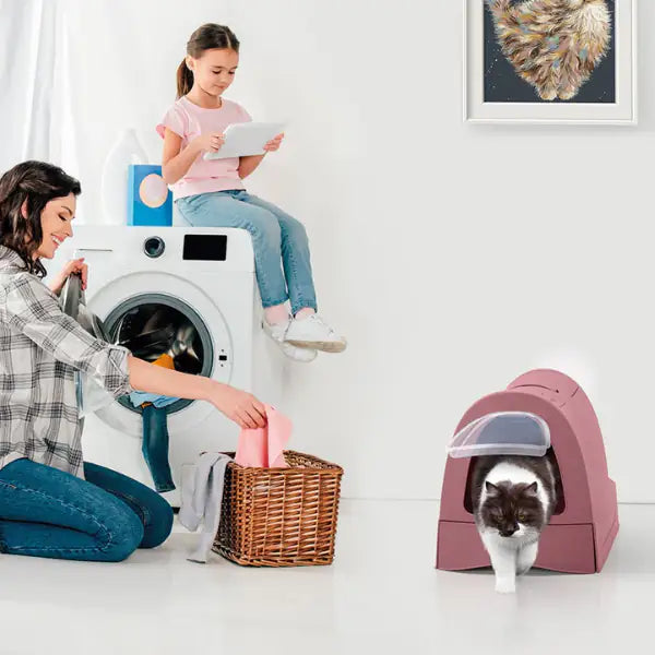Zuma Toilette per gatti Imac   bauzaarit.myshopify.com