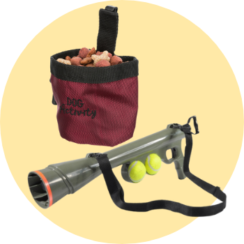 Agility e addestramento