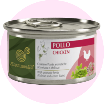 Cibo umido per gatti allergici