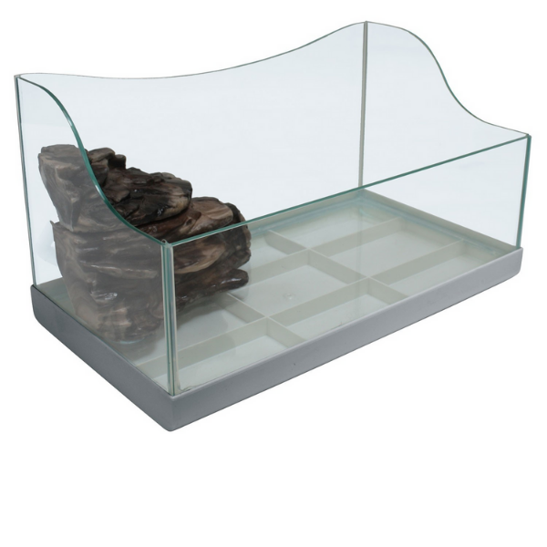 tartarughiera giglio amtra immagine2