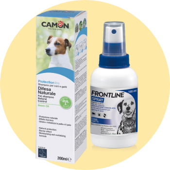 Spray e shampoo per cani
