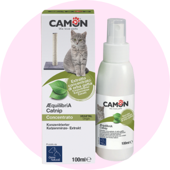 Attrattivi per gatti