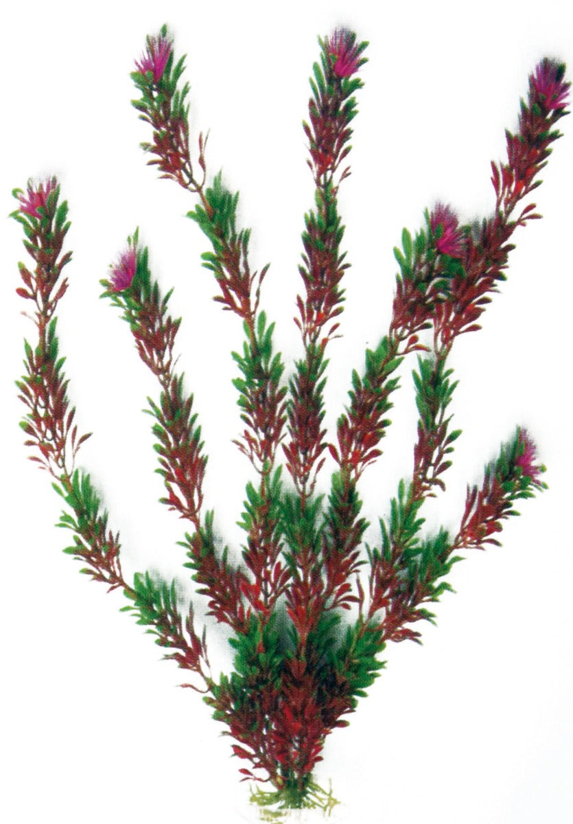 Pianta finta decorativo per Acquario Amtra - Bicolour - Extra-large - Flora