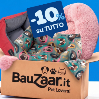 Acquista ora 🐻