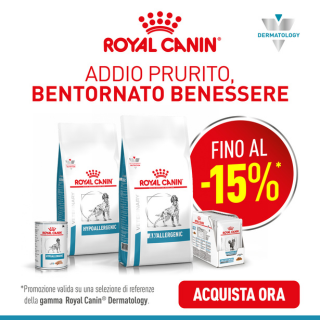 Royal in promo 🛒