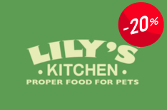 Usa LILY20