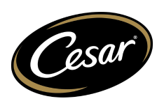 usa CES20