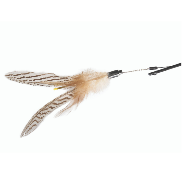 Cannetta con piuma Camon