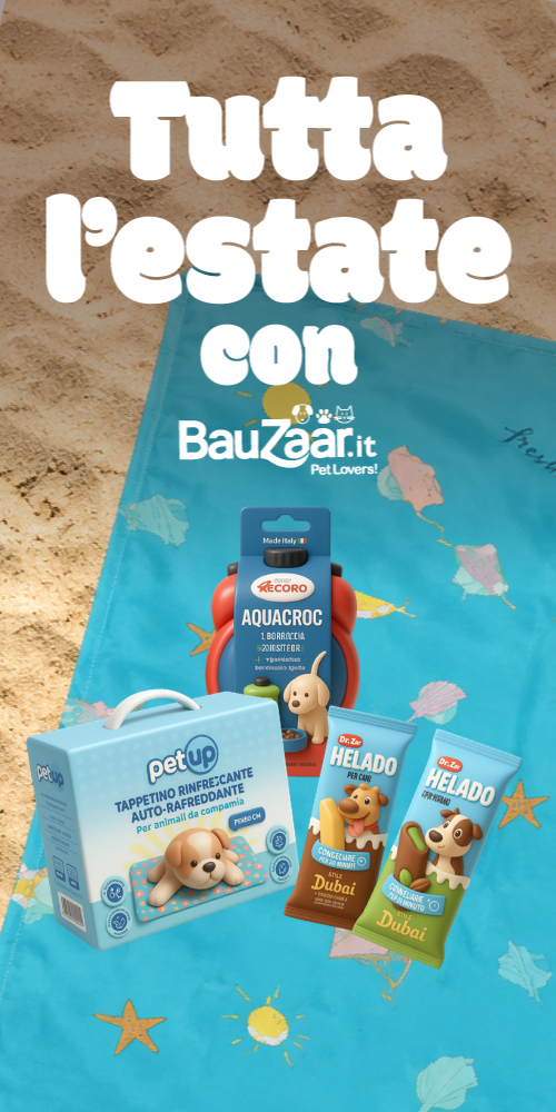 Bauzaar.it