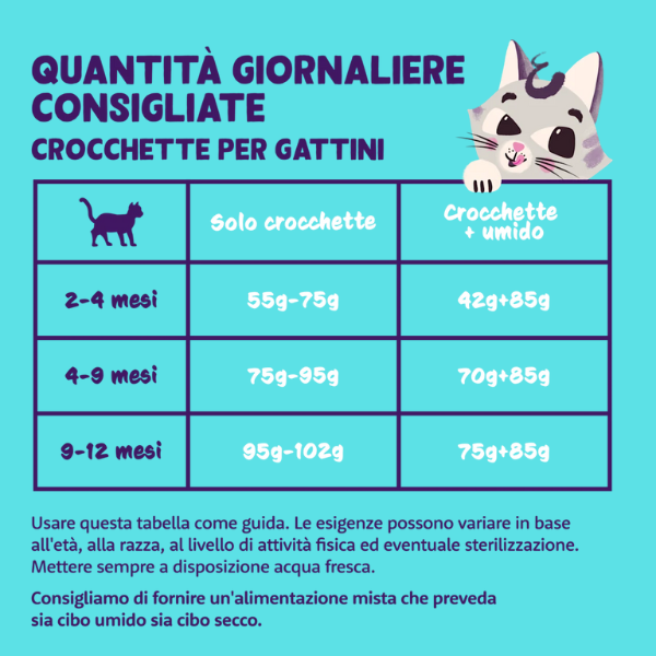 edgard & cooper cat kitten grain free anatra e pollo immagine5