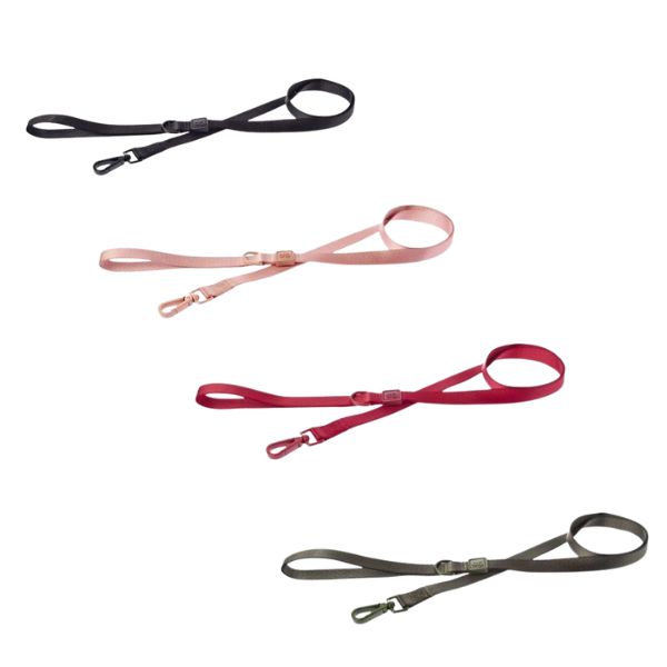 ferribiella suprema guinzaglio con moschettone verniciato immagine2