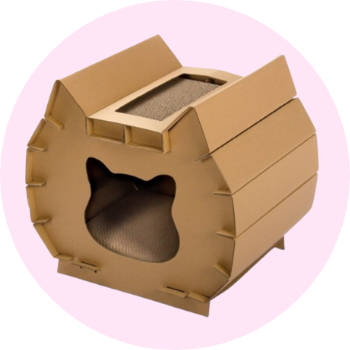Cartone e tappetini per gatti
