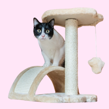 Tiragraffi d'arredo per gatti