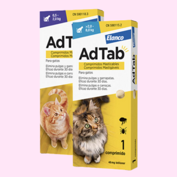 Compresse antiparassitarie per gatti